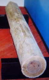 旧丸ビルの松杭