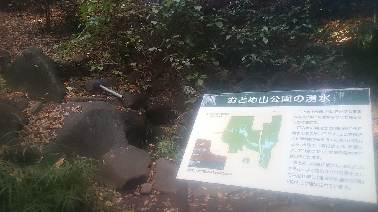 東京の紅葉穴場スポットは 湧水池のある窪地 3 目白の おとめ山公園 生涯一設計士 佐々木繁の日々
