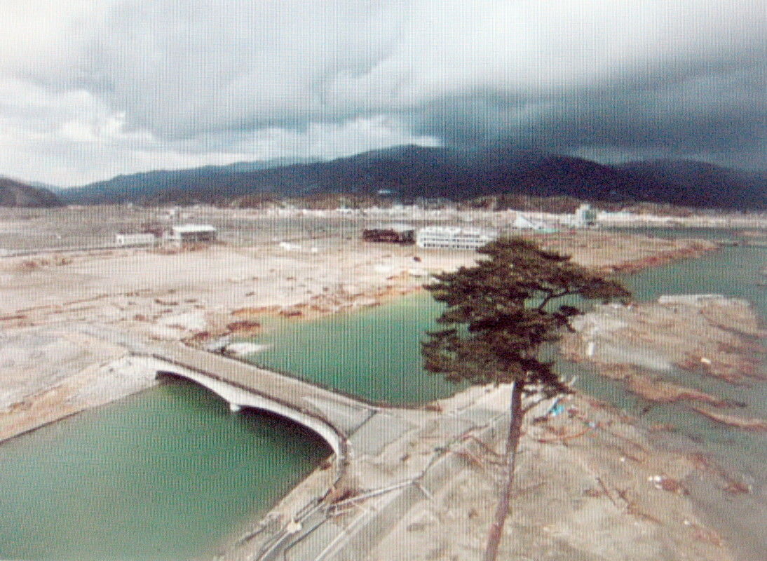 スマトラ地震による津波災害と復興 / 高橋 誠/田中 重好/木股