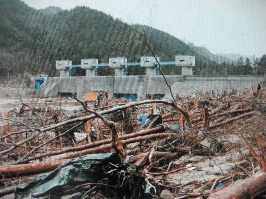 普代 村 津波