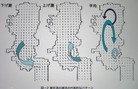 ÅìµþÏѤÎĬή¤ÎÂåɽŪ¥Ñ¥¿¡¼¥ó