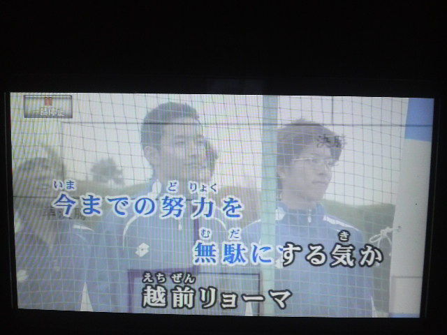 蒼い廃墟の庭 テニプリ