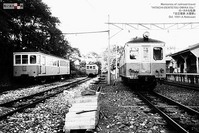 29dd7d67.jpg
