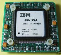 IBM%就職活動