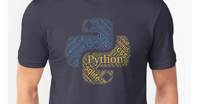 19python_1280x960