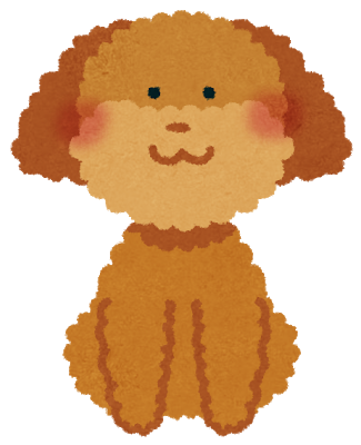 toy_poodle