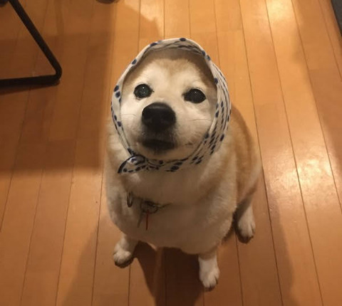 no title