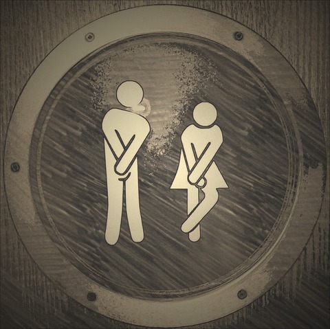 toilet-1033443_1280