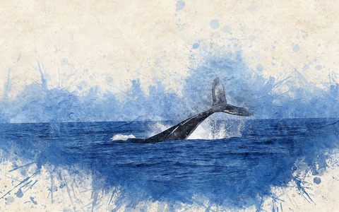 whale-2998812_1920