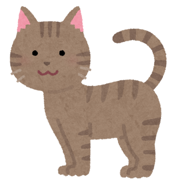 cat07_moyou_kijitora