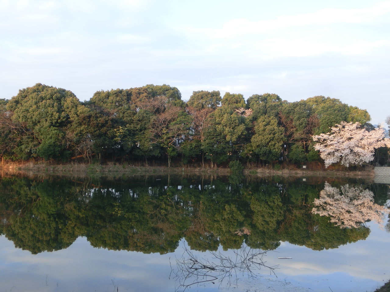 西南杜の湖畔公園 / Woodstockさんの福岡マラソンの活動データ YAMAP / ヤマップ