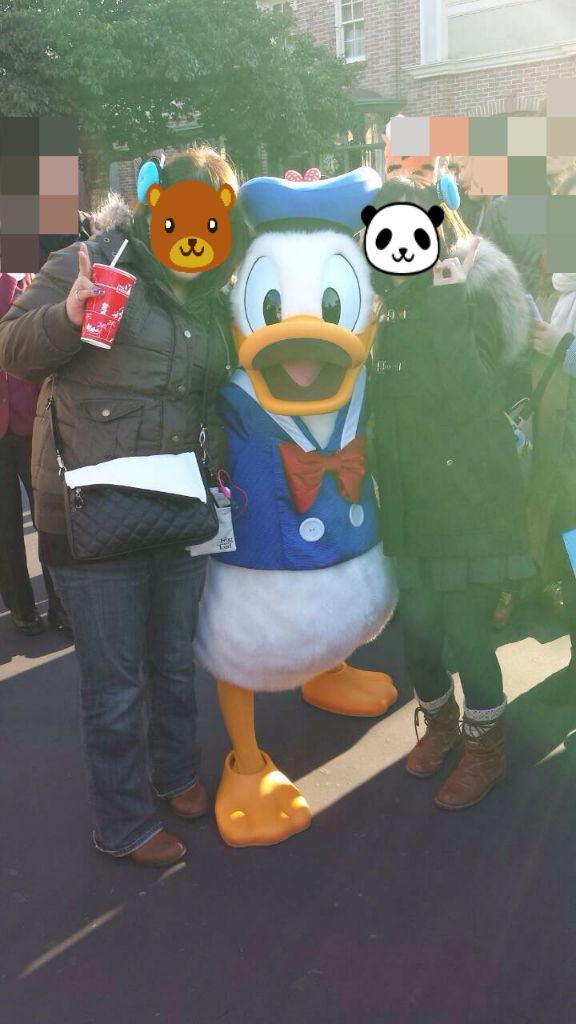 ドナルドに出会うまで 鳥さんとディズニー日記 ドナルドに出会うまで 鳥さんとディズニー日記