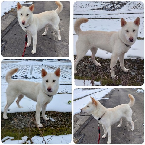 InCollage_20240224_130823344