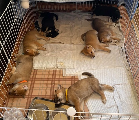 inCollage_20211124_195455046