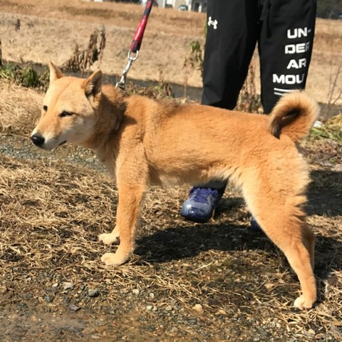 inCollage_20210222_183653482