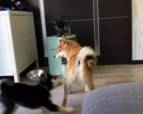 VID_20241207_144704_209_exported_2000