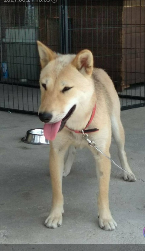 inCollage_20210624_073409030