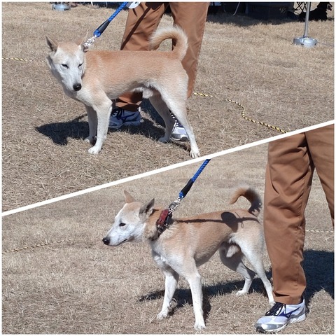 InCollage_20231125_094730631