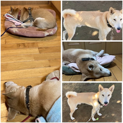 InCollage_20231024_203447208