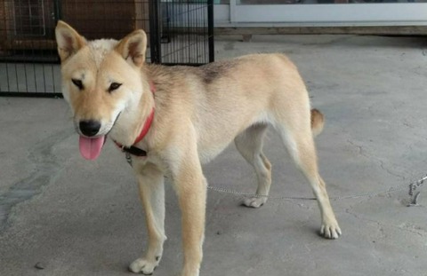 inCollage_20210624_073440478