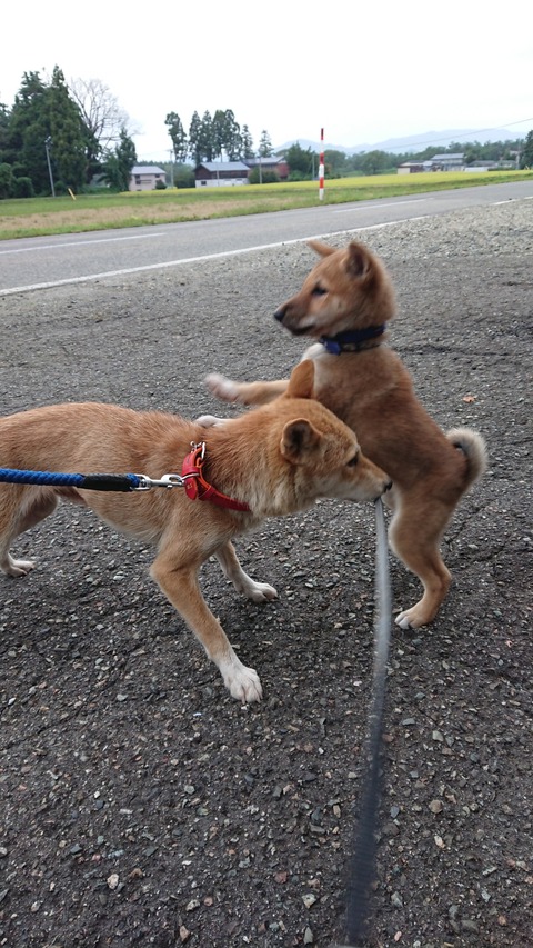 DSCPDC_0002_BURST20190922062314523