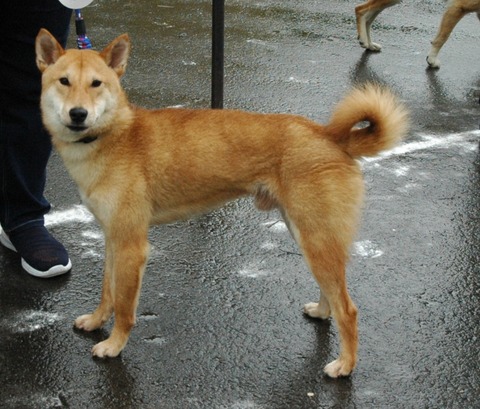 inCollage_20210822_125131842