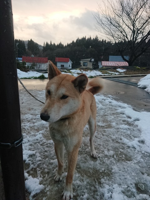 DSCPDC_0002_BURST20191227160801804