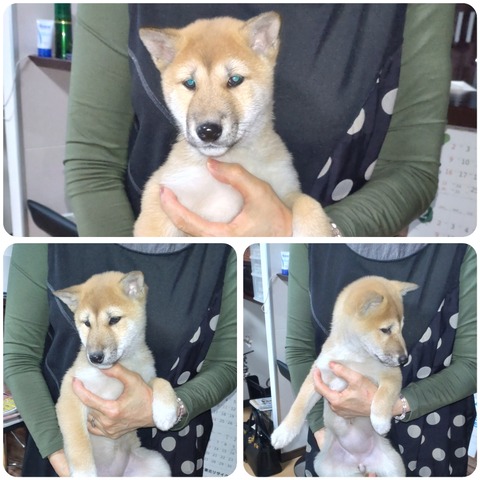 InCollage_20241224_214131249