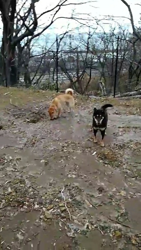 LINE_MOVIE_1580031217552_000151