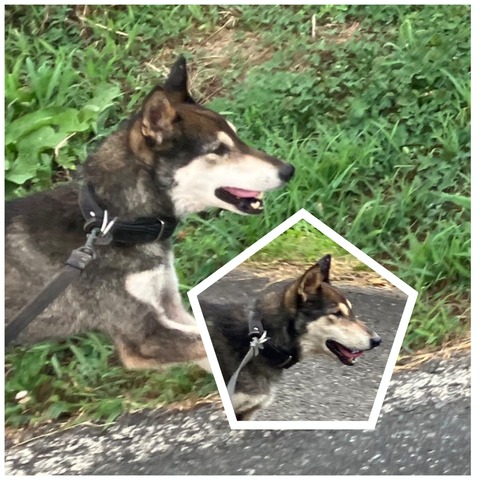 InCollage_20230924_192628267