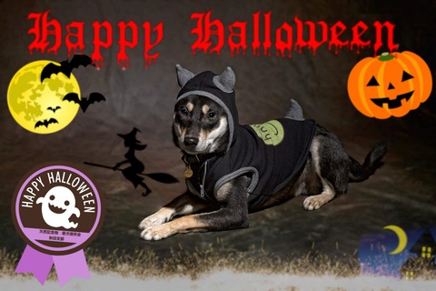 received_1569404639887974