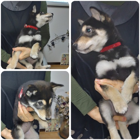 InCollage_20241224_214327648