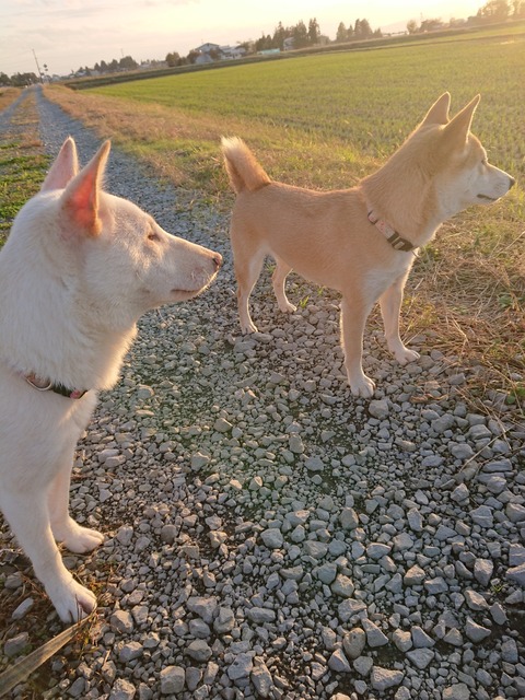 DSCPDC_0000_BURST20191030161026812