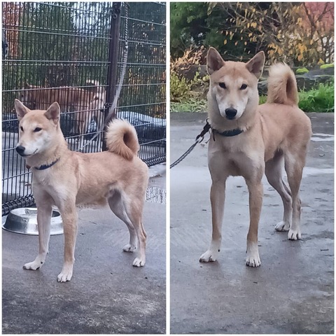 InCollage_20231126_075656729