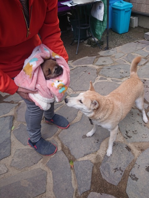 DSCPDC_0003_BURST20191128095653494_COVER