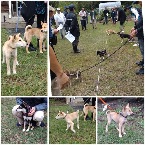 InCollage_20231025_083043512