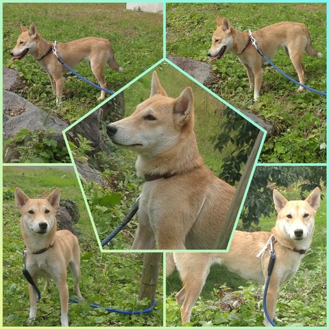 InCollage_20220925_182033599