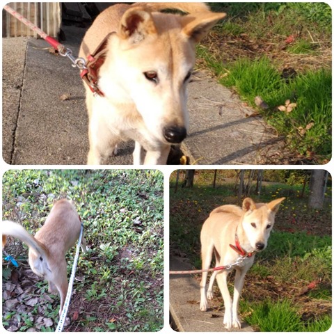 InCollage_20241113_095727891