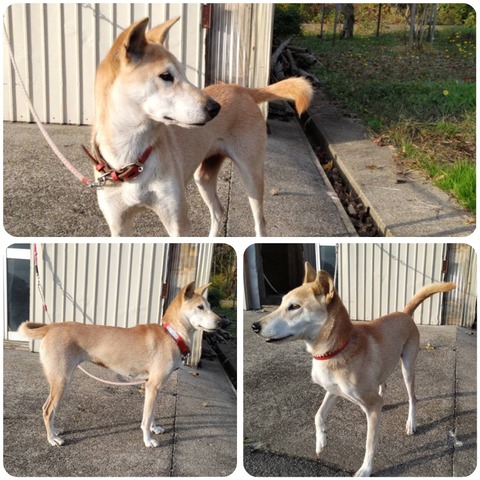 InCollage_20241113_095807845