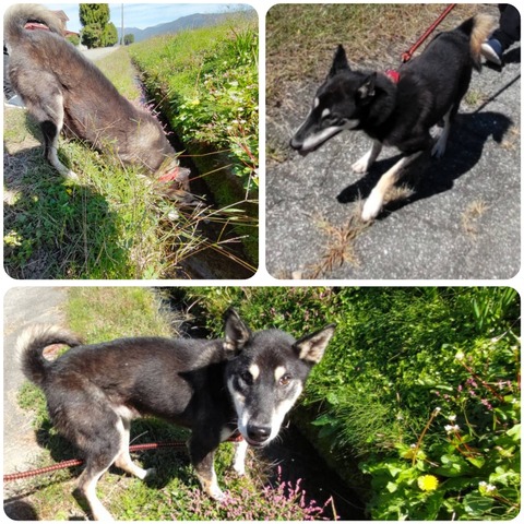 InCollage_20241023_133309107