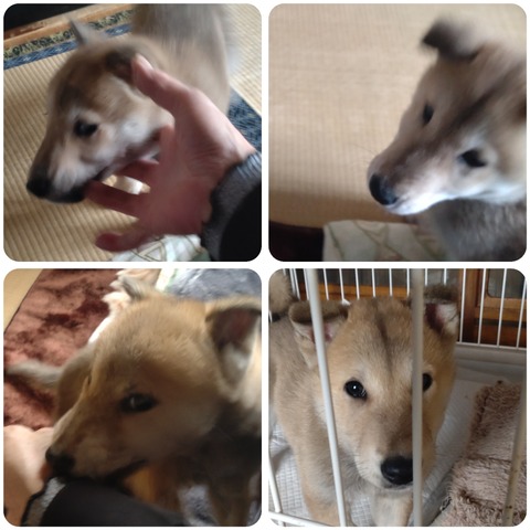 InCollage_20250323_141039578