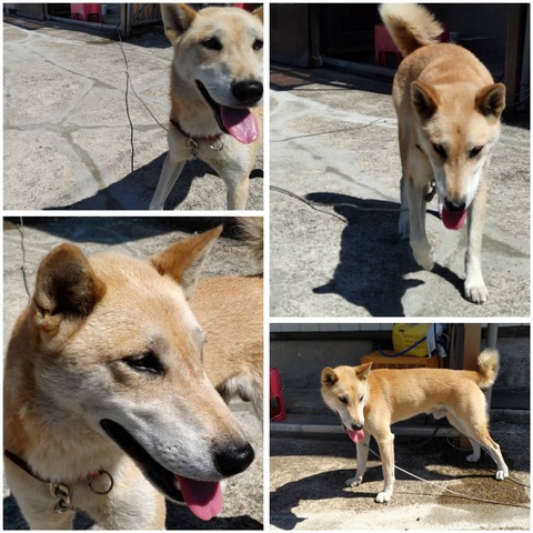 InCollage_20230827_113226536