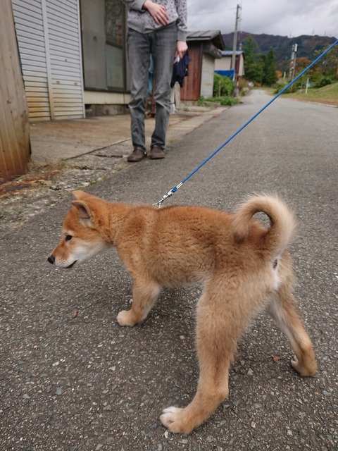 DSCPDC_0000_BURST20191023111709509