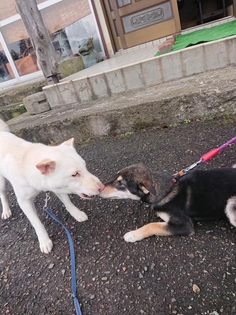 DSCPDC_0001_BURST20191130095257322_COVER