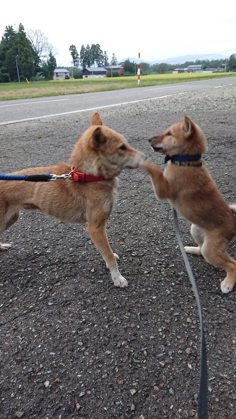 DSCPDC_0000_BURST20190922062314523