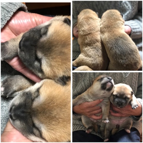 InCollage_20221123_190429466