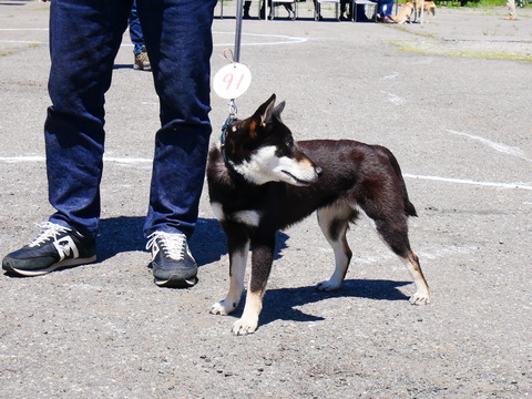 P1070326