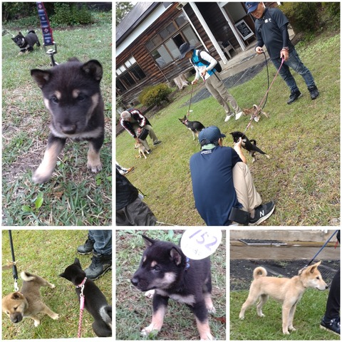 InCollage_20231025_082853189