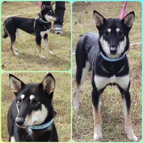 InCollage_20221016_090555087