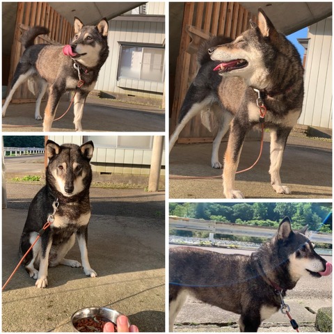 InCollage_20230722_081125585